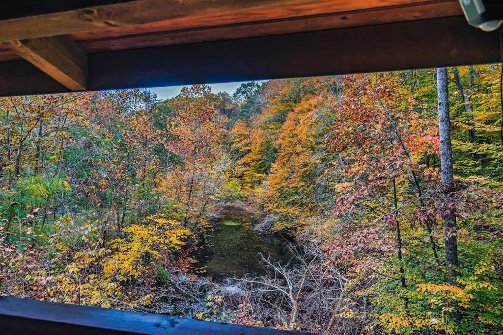 Mama Bear'S Retreat Villa เซอเวียร์วีล ภายนอก รูปภาพ